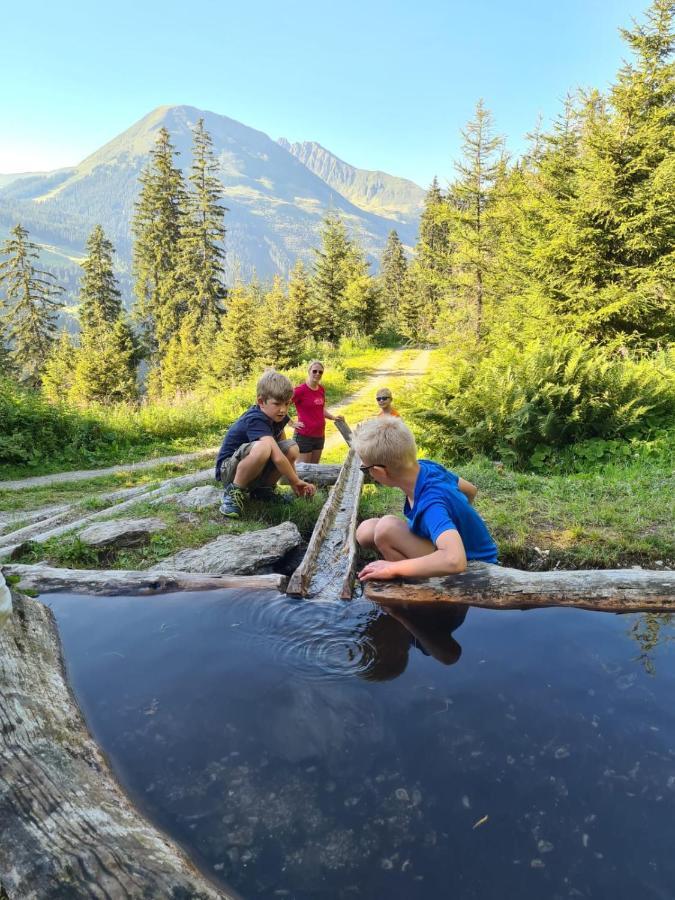 Hotel Brixnerhof Im Zillertal Schlitters Exterior foto